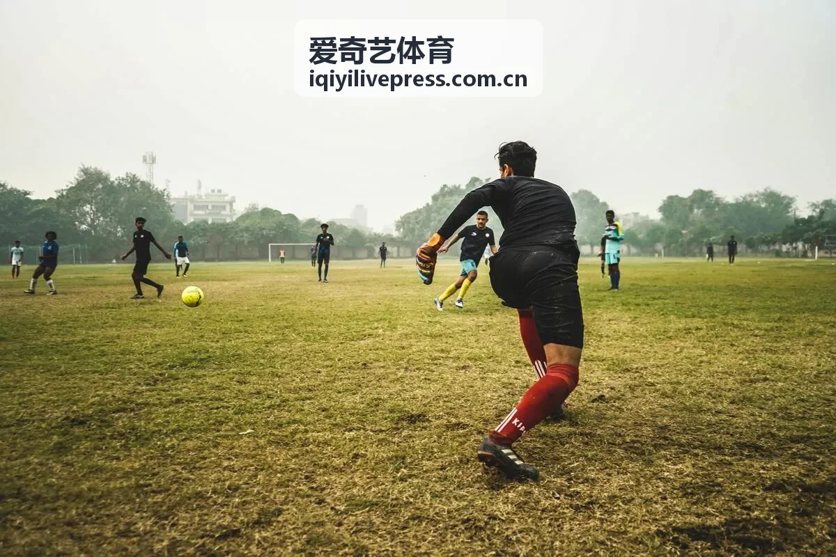 爱奇艺体育达喀尔拉力赛直播